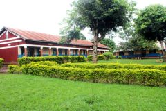 School-Compound-One